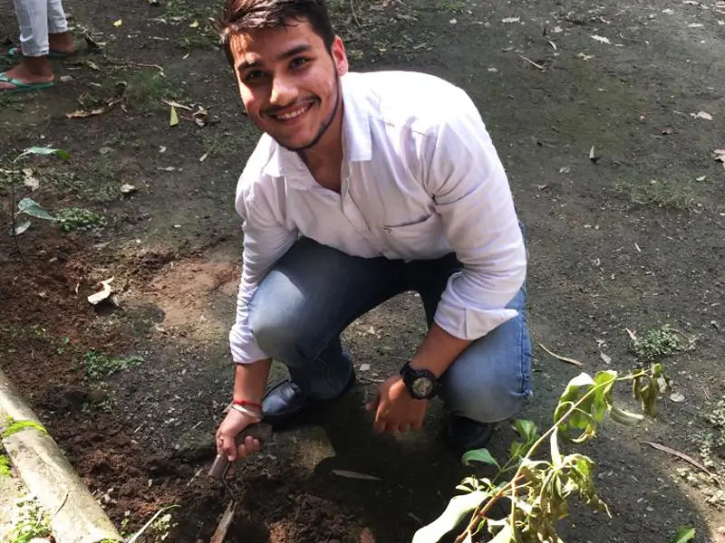 Plant